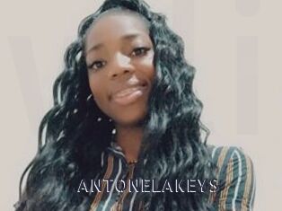 ANTONELAKEYS