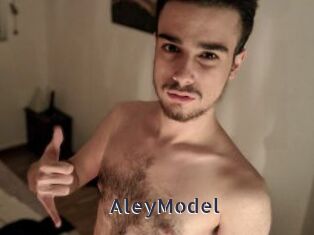AleyModel
