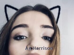 An_Harrison