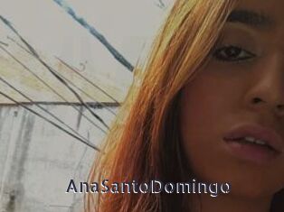 AnaSantoDomingo