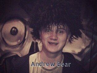 Andrew_Bear
