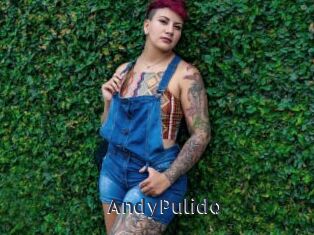 AndyPulido