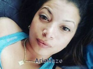 Aria_Maze