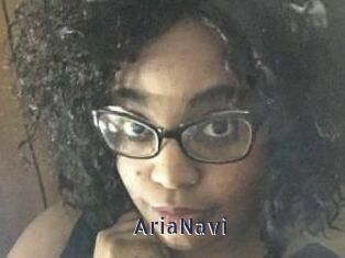 AriaNavi