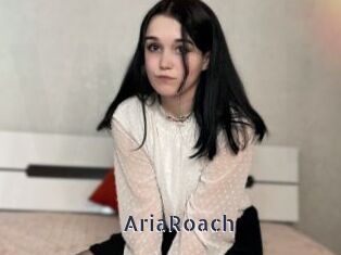 AriaRoach