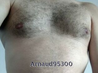 Arnaud95300