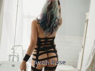 Avah_Rose