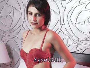 AyselGull