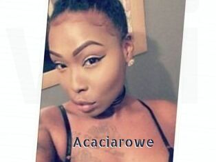 Acacia_rowe