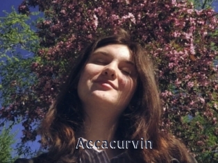 Accacurvin