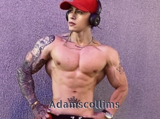 Adamscollims