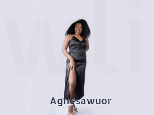 Agnesawuor