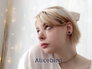 Alicebird