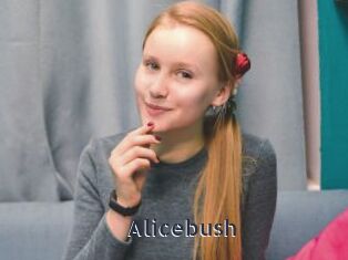 Alicebush
