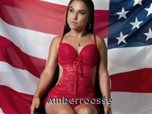 Amberroosse