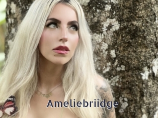 Ameliebriidge