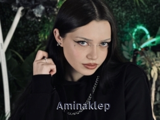 Aminaklep