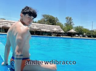 Andrewdibracco