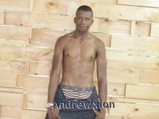 Andrewxion