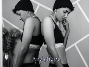 Andyhops