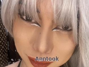Anntook
