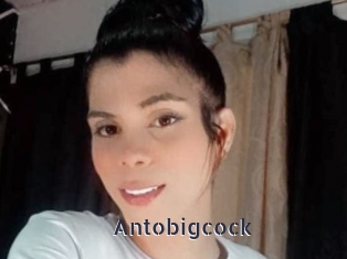 Antobigcock