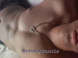 Antobigmuscle