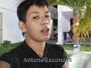 antonellaconors webcam livesex
