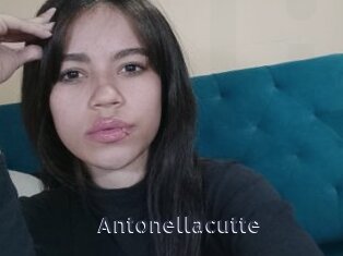 antonellacutte webcam livesex