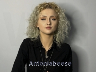 antoniabeese webcam livesex