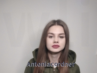 Antoniacordner
