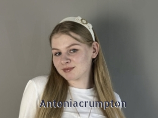 antoniacrumpton webcam livesex