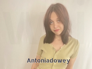 antoniadowey webcam livesex