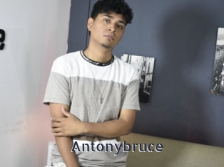 Antonybruce