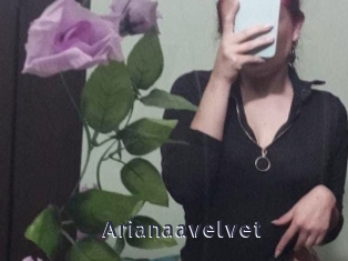 arianaavelvet webcam livesex