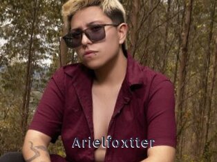 Arielfoxtter