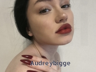 Audreybigge