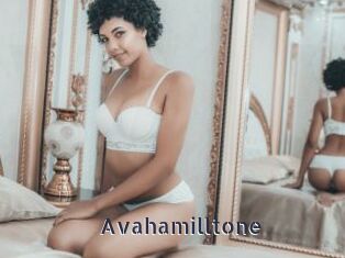 avahamilltone webcam livesex