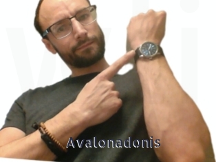 Avalonadonis