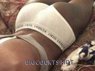 BIGCOCKTS_HOT