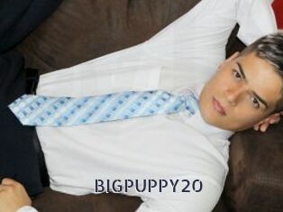 BIGPUPPY20