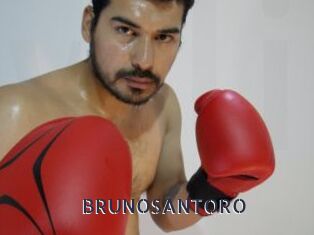 BRUNOSANTORO