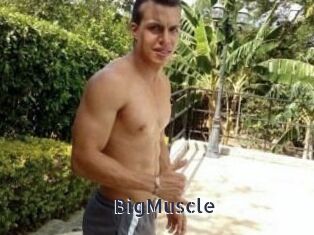 Big_Muscle