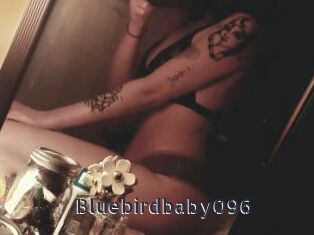 Bluebirdbaby096