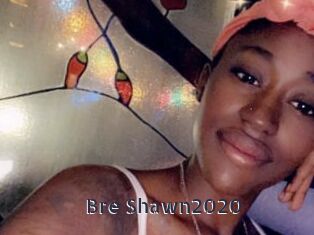 Bre_Shawn2020