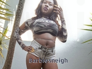 Barbiesneigh
