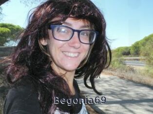 Begonia69