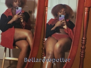 Bellarosepotter