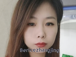 Bericezhangjing
