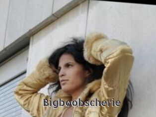 Bigboobscherie